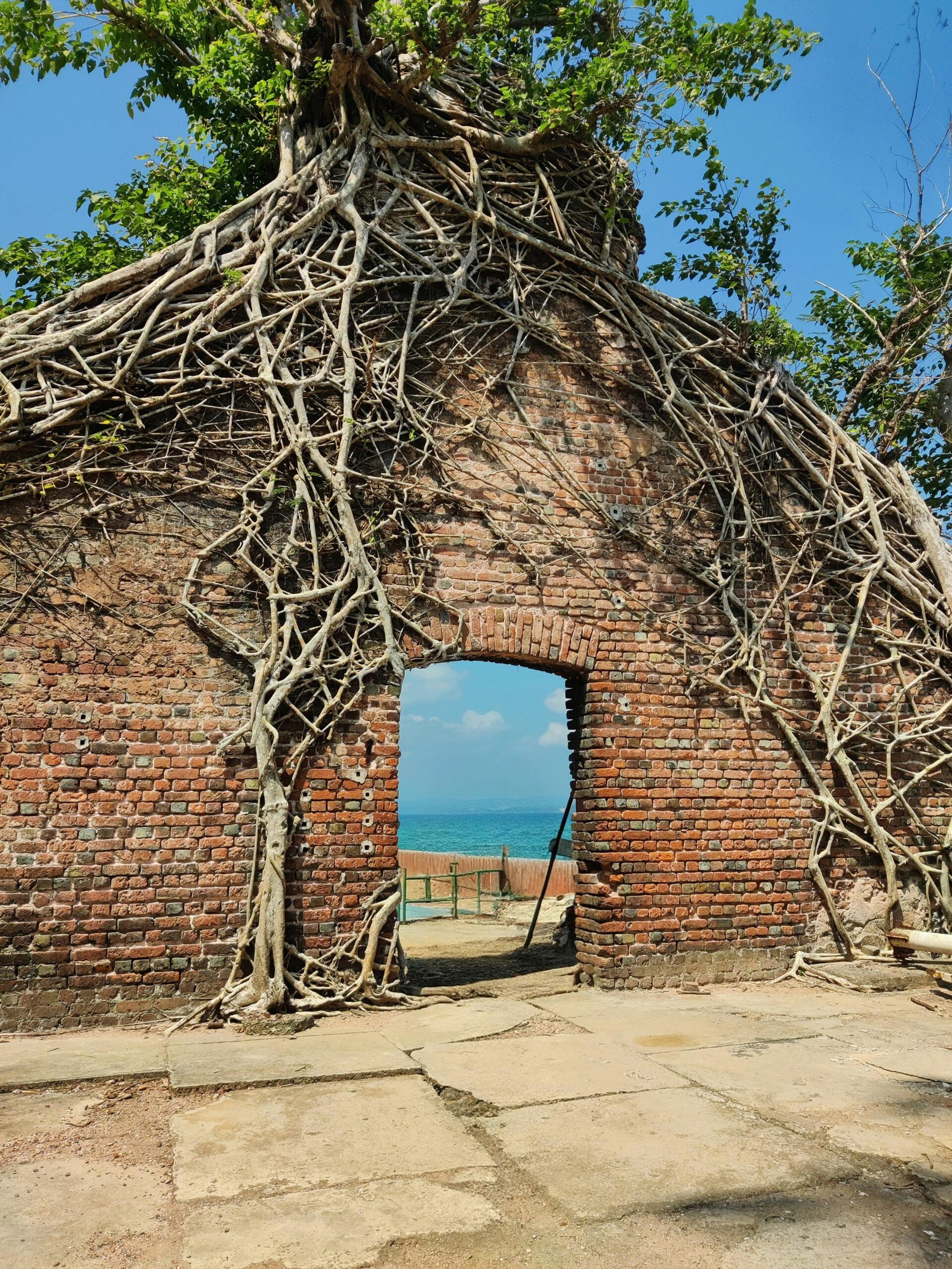 Ruined brick structure overgrown with tree roots, overlooking the sea on Andaman Island.